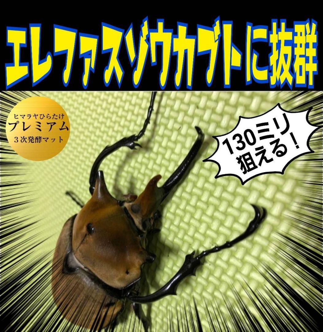極上☆ギネス狙いに！プレミアム3次発酵カブトムシマット【6袋】特殊
