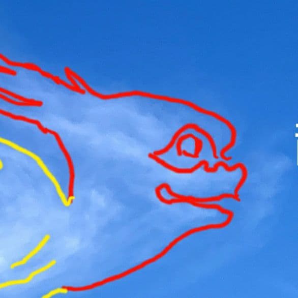 A3判『三神一体 神々の集い』大きく翼を広げた鳳凰様の