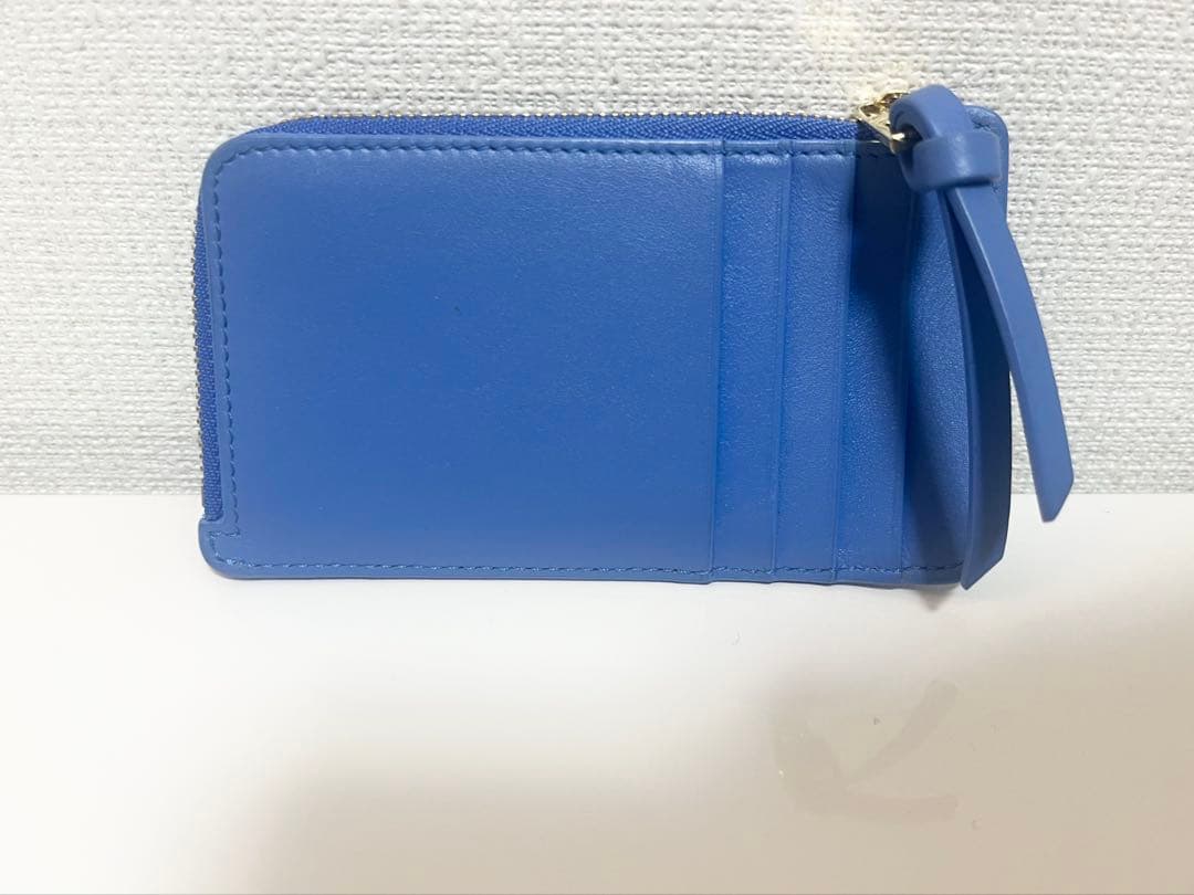 【最終価格】ロエベ /カードホルダー / 箔押しロゴ