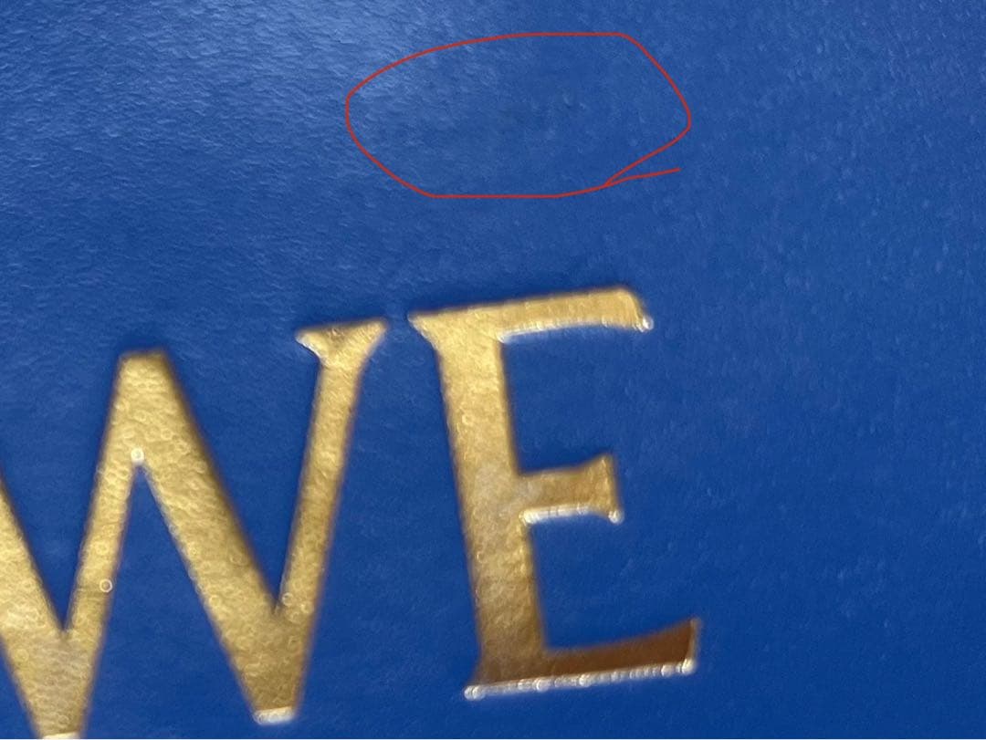 【最終価格】ロエベ /カードホルダー / 箔押しロゴ