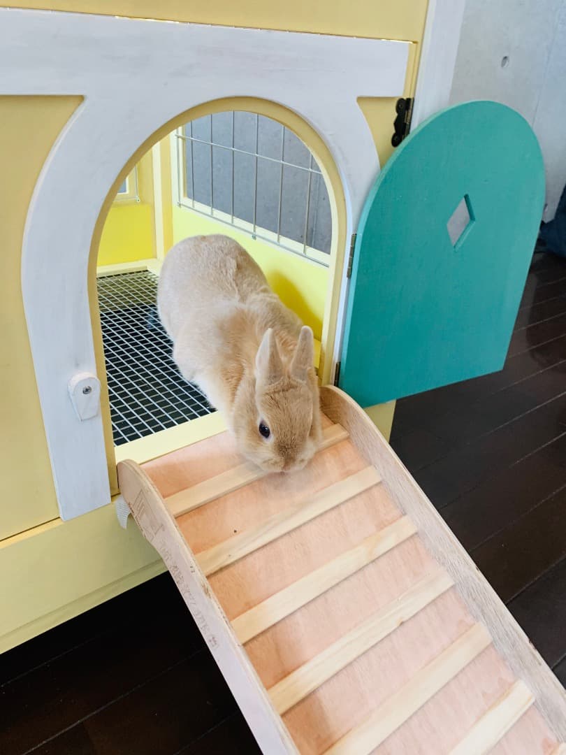 もちつき】壱番館 北欧デザインペットハウス うさぎ用ケージ 可愛い