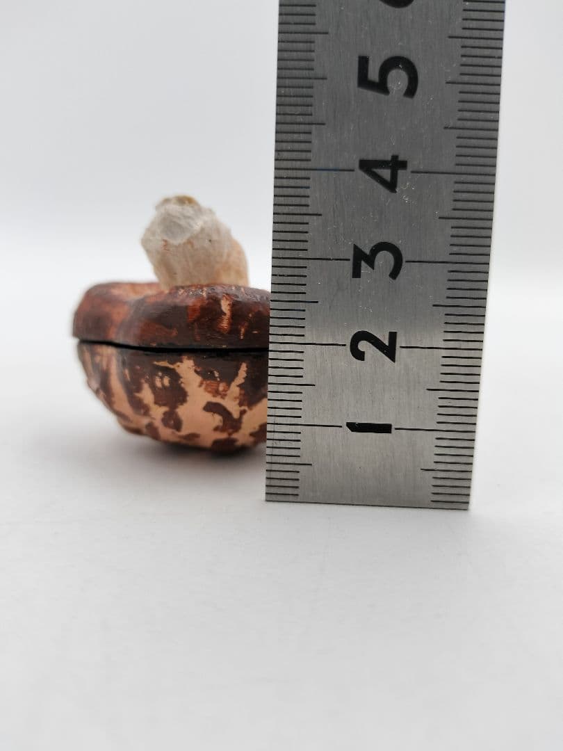 b119 【新品・未使用】香合 乾漆 椎茸 畦地粒俵 木箱 茶道具 多喜翁 風炉