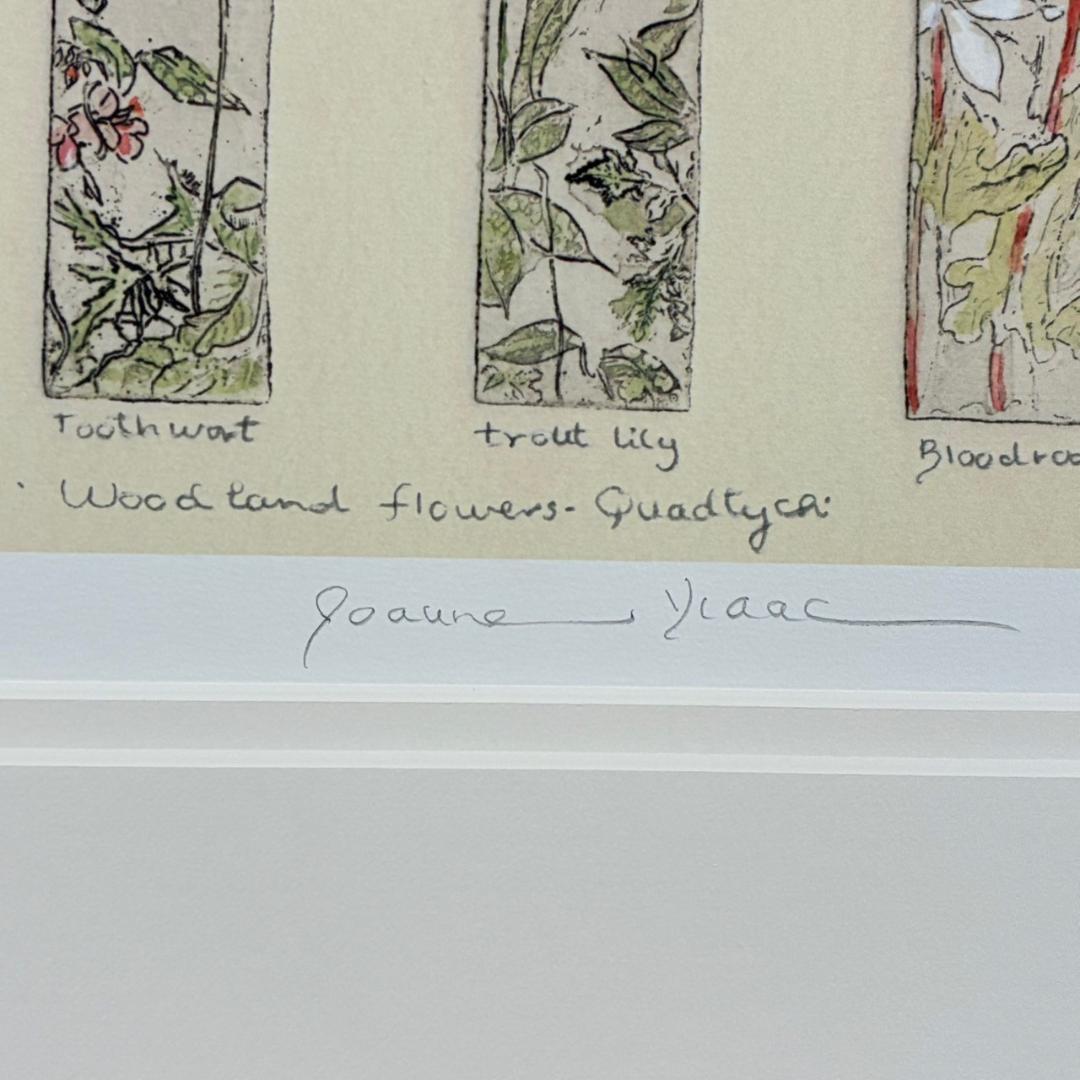 美品 ジョアン・アイザック「Wood～/森の花々」ジクレー 直筆サイン