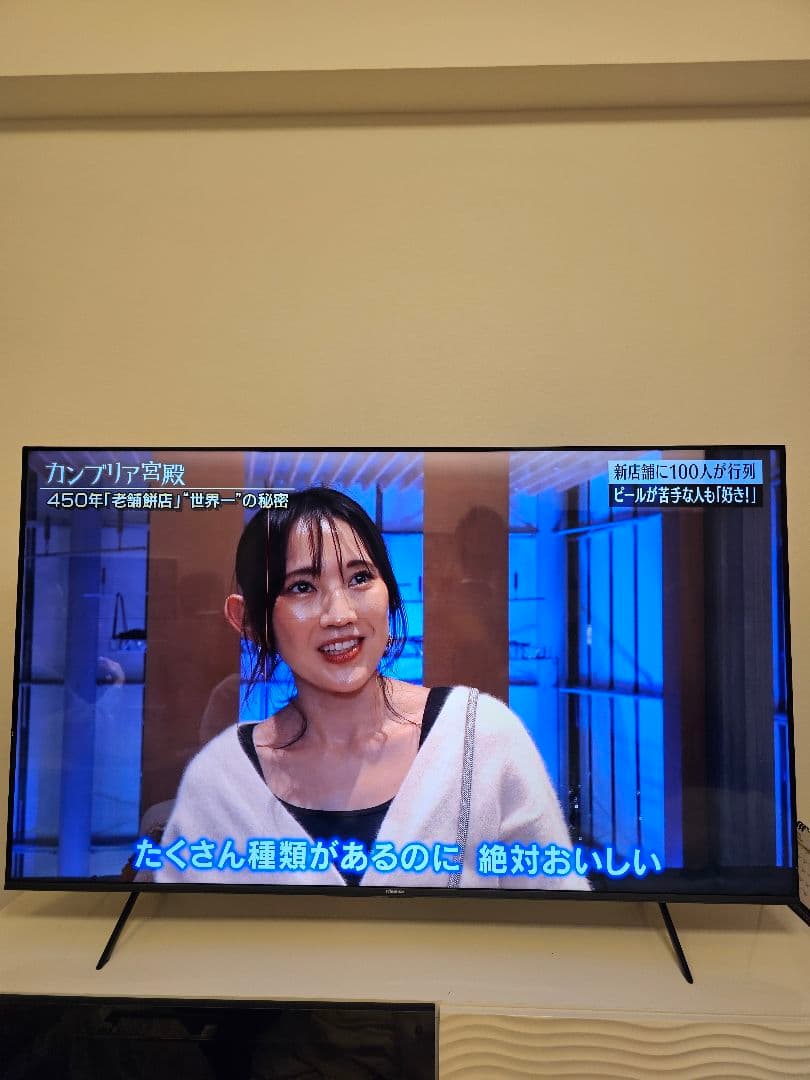 へ*と様 ハイセンス 65E7H 2024年製 細い縦線と横線あり 手渡し