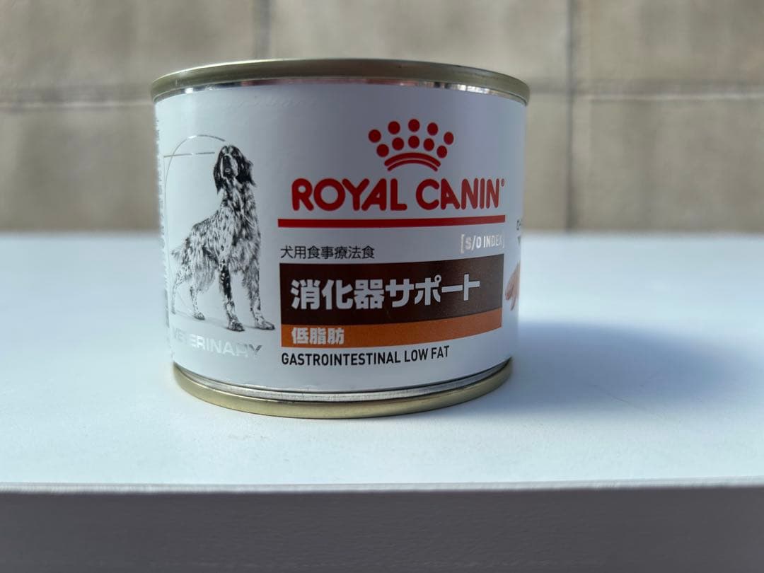 犬 トロフィー 第16回 優勝旗争奪訓練競技会 オブジェ 置き物 dog