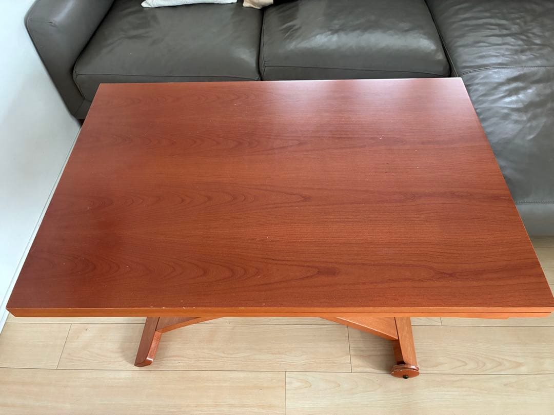 シンタロウ様　送料込み　カリガリス コヌビア マスコッティ テーブル