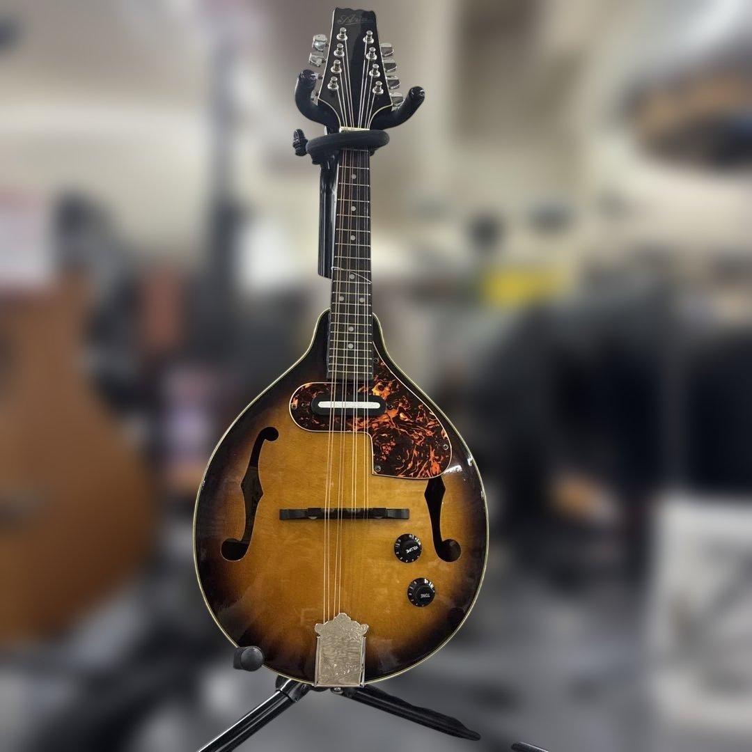 サンバースト 8弦 マンドリン 本体