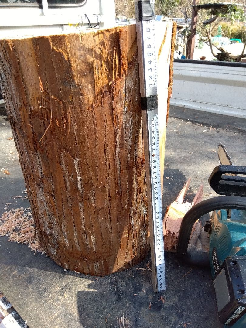 みつばち、昆虫飼育用 中空洞木材 杉材 樹洞 くり抜き 丸洞 丸太
