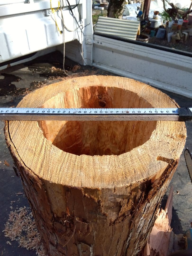 みつばち、昆虫飼育用 中空洞木材 杉材 樹洞 くり抜き 丸洞 丸太