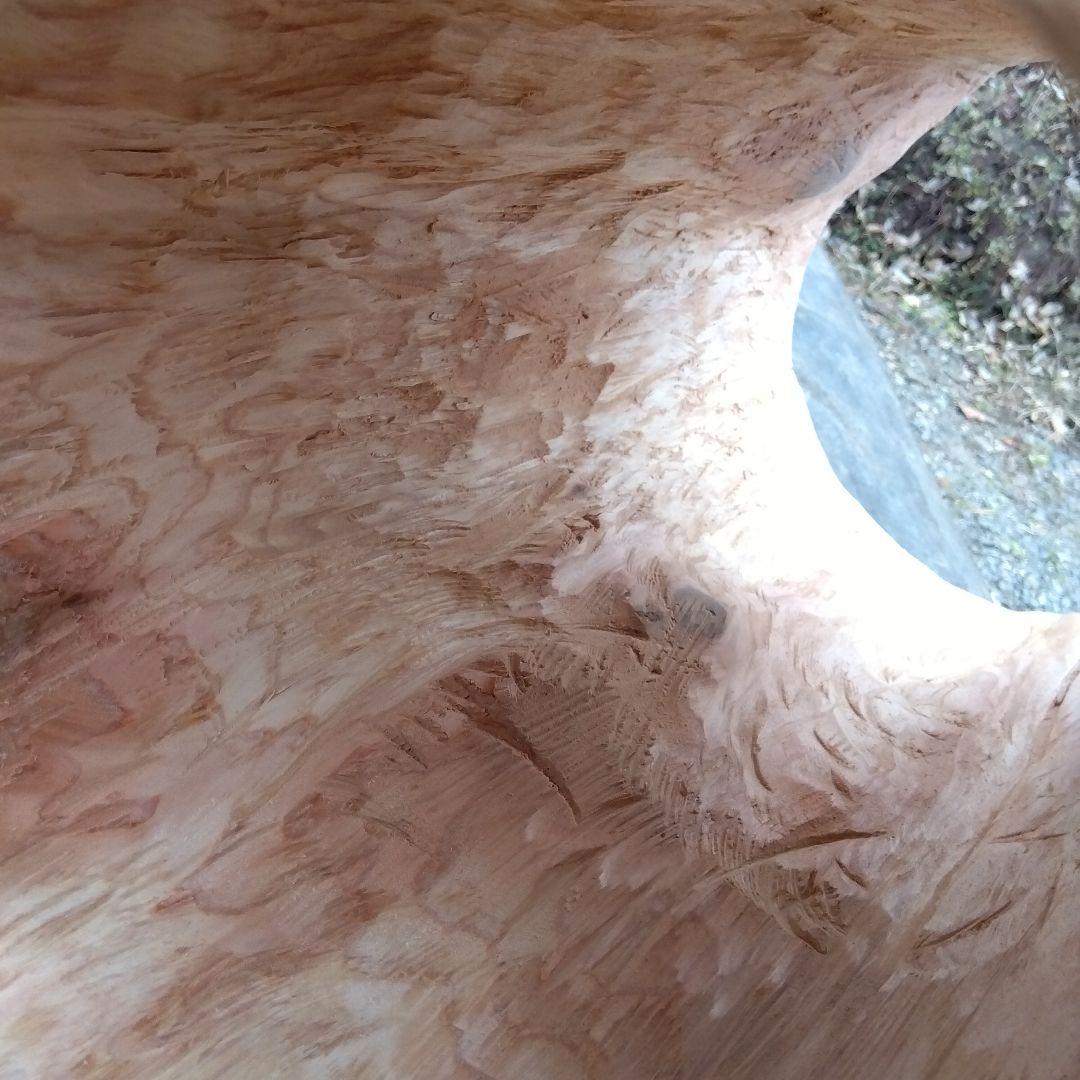 みつばち、昆虫飼育用 中空洞木材 杉材 樹洞 くり抜き 丸洞 丸太