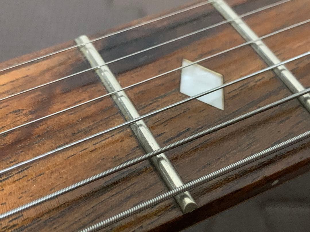 Chatting Bird Mockingbird モッキンバード hide