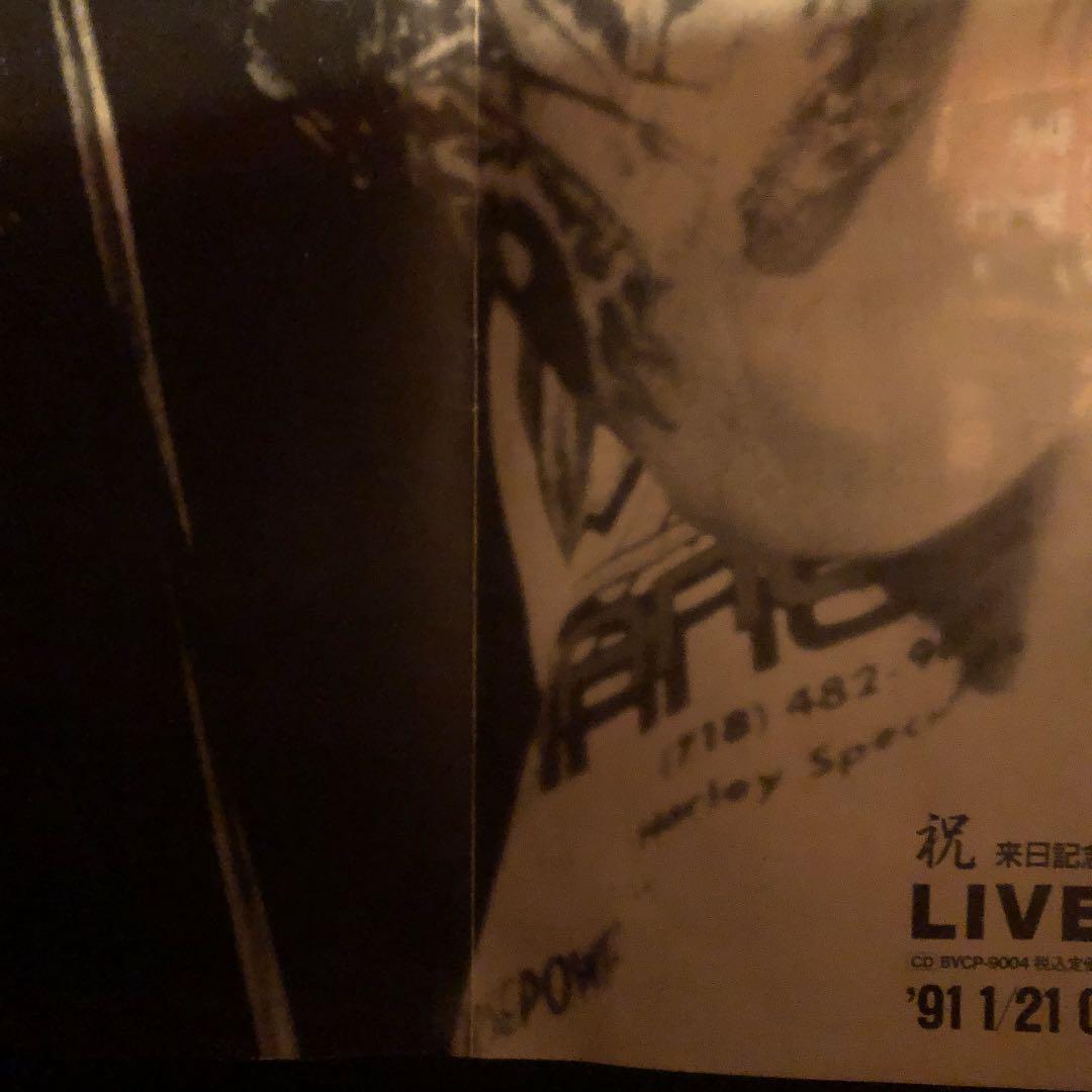 HR/HM L Alex tatoo ＮＹ　ジプシー　BAND ポスター