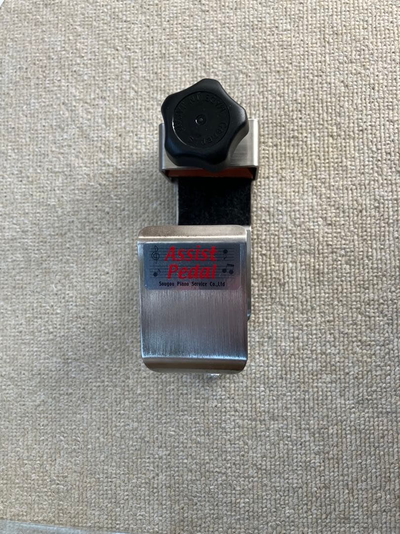 Assist Pearl アシストペダル