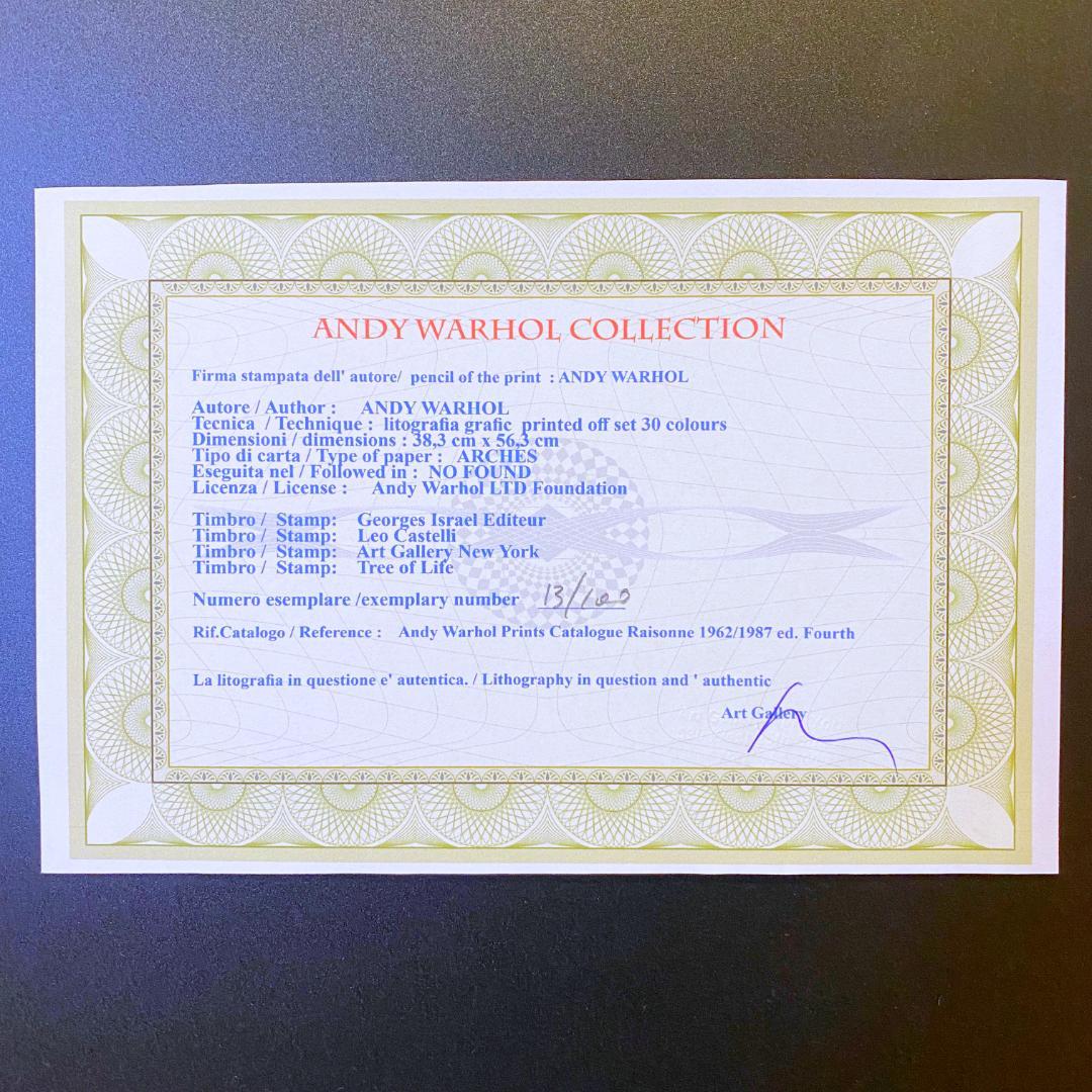 【模写】世界限定100枚!! アンディ・ウォーホル ジョン・レノン リトグラフ