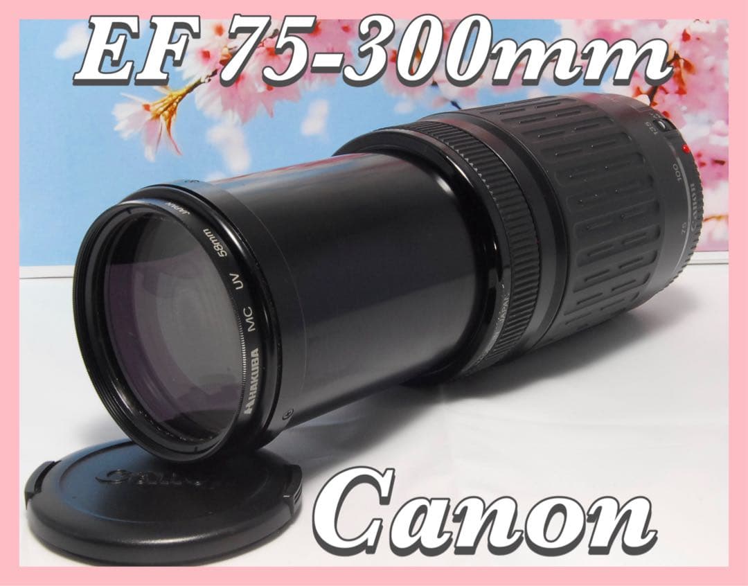 超望遠レンズ⭐️Canon EF 75-300mm 運動会 お遊戯会 にオススメ