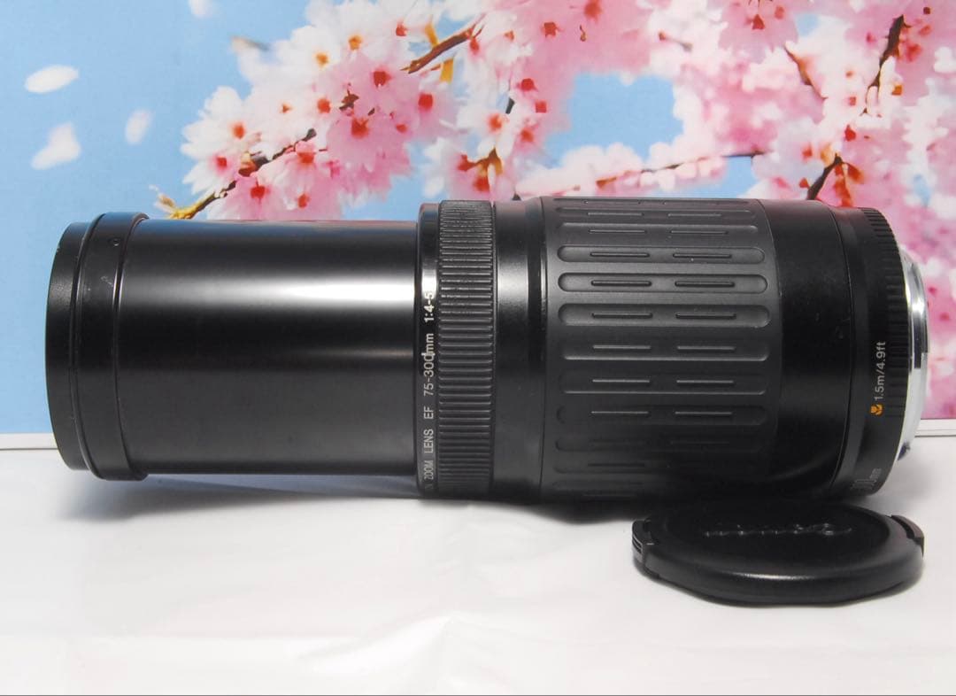 超望遠レンズ⭐️Canon EF 75-300mm 運動会 お遊戯会 にオススメ