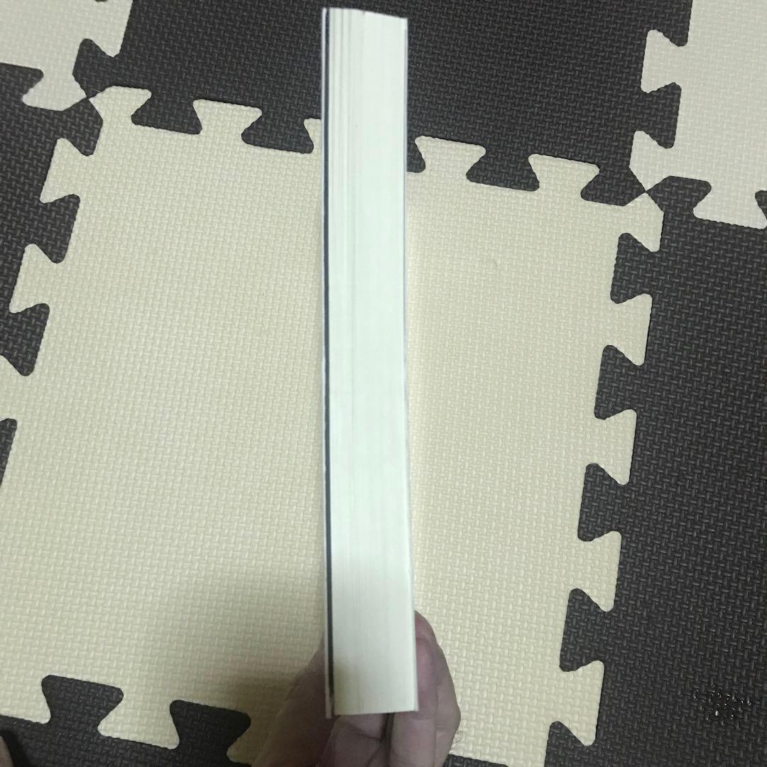 相似象学会誌 相似象 第15号