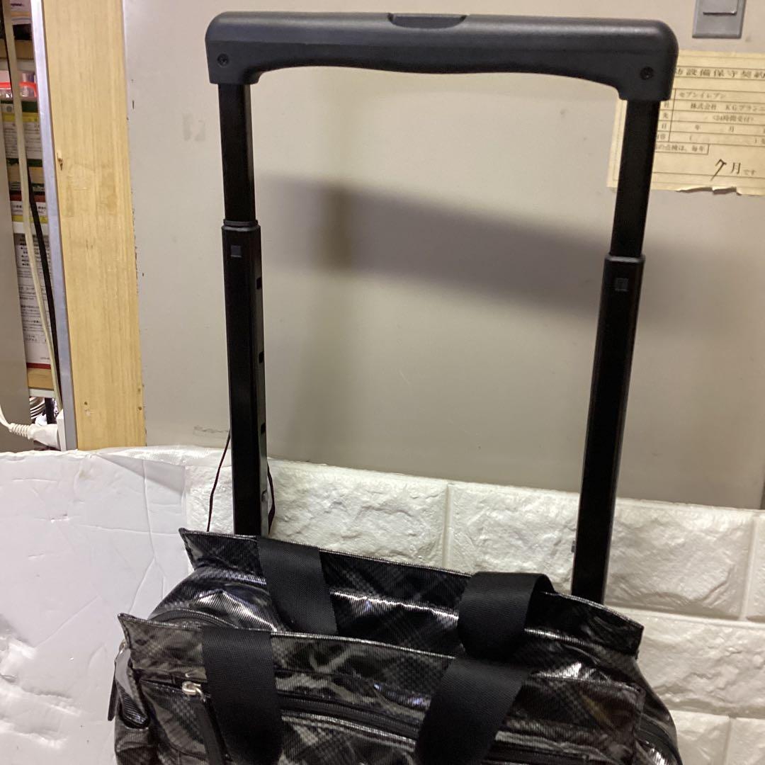 S4 SWANY キャリーバッグ Sサイズ 約12L