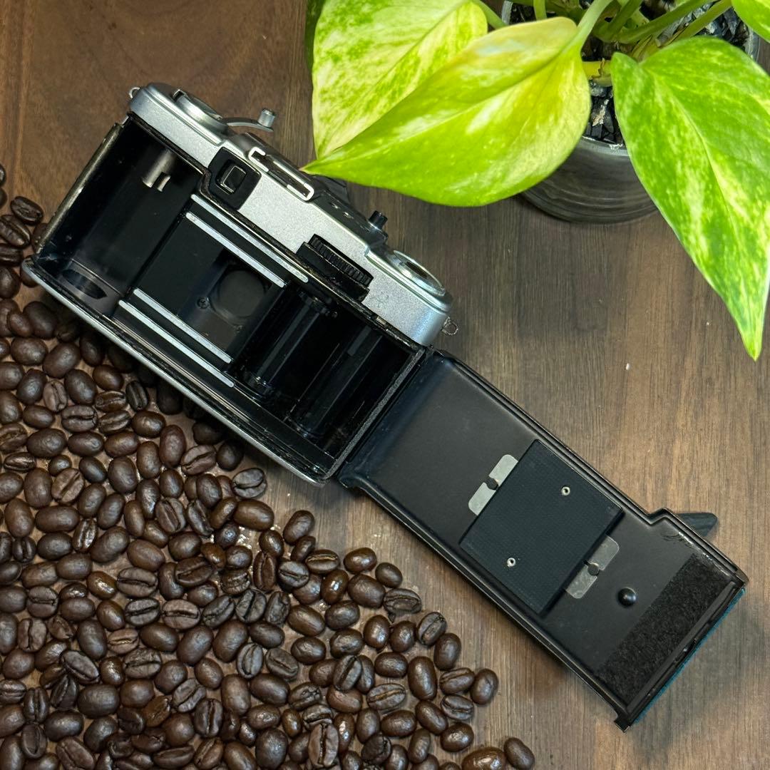 ✴️本日のみ初心者セット✴️牛革レザー✴️実写・分解整備済