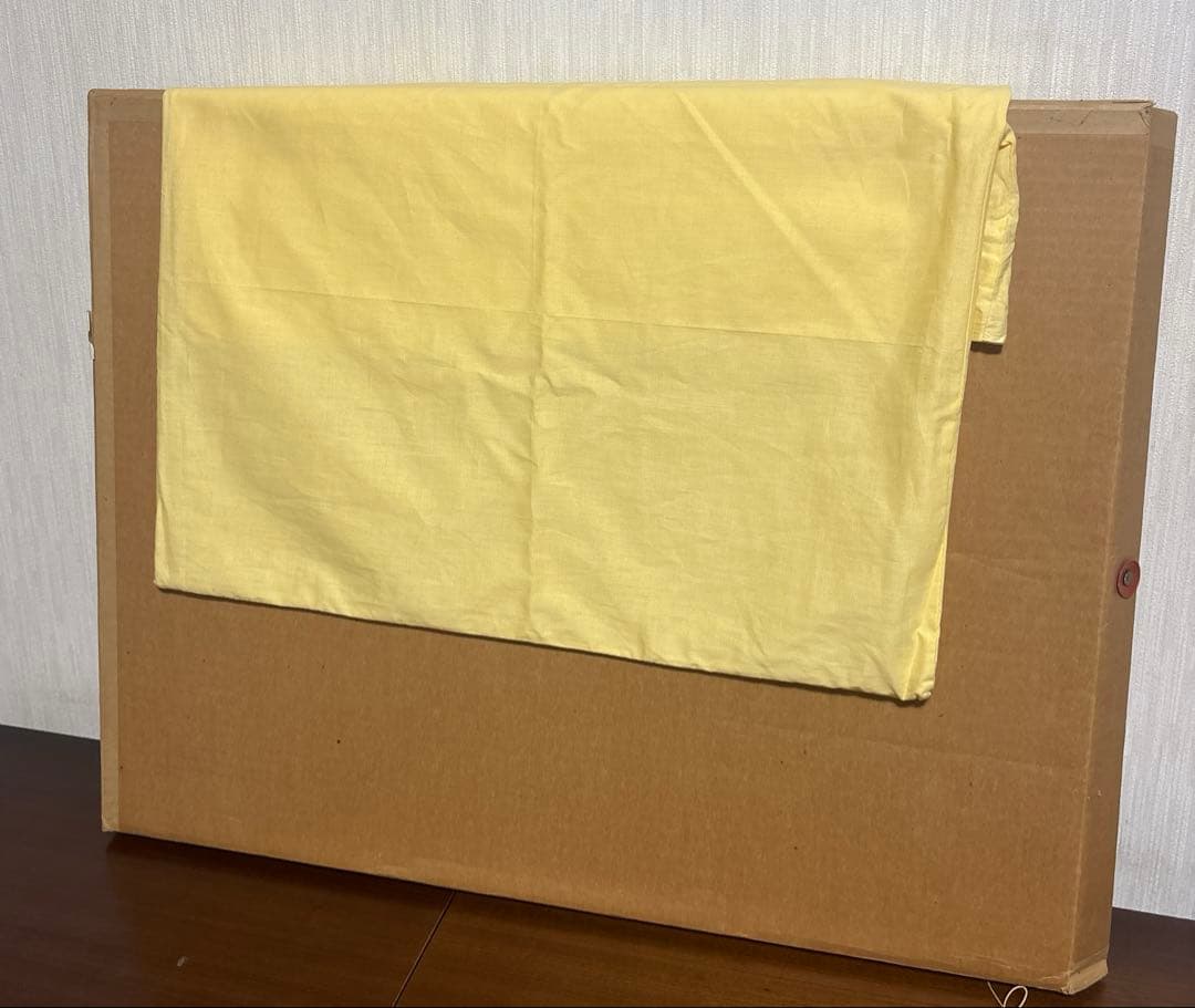 ロルフ・ラフルスキー Rolf Rafflewski リトグラフ シテ島