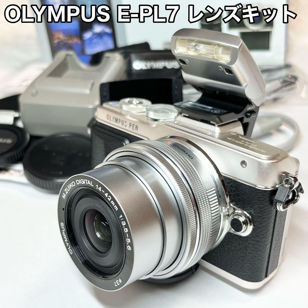 美品・500ショット】OLYMPUS OM-D E-M5 MarkII ボディ