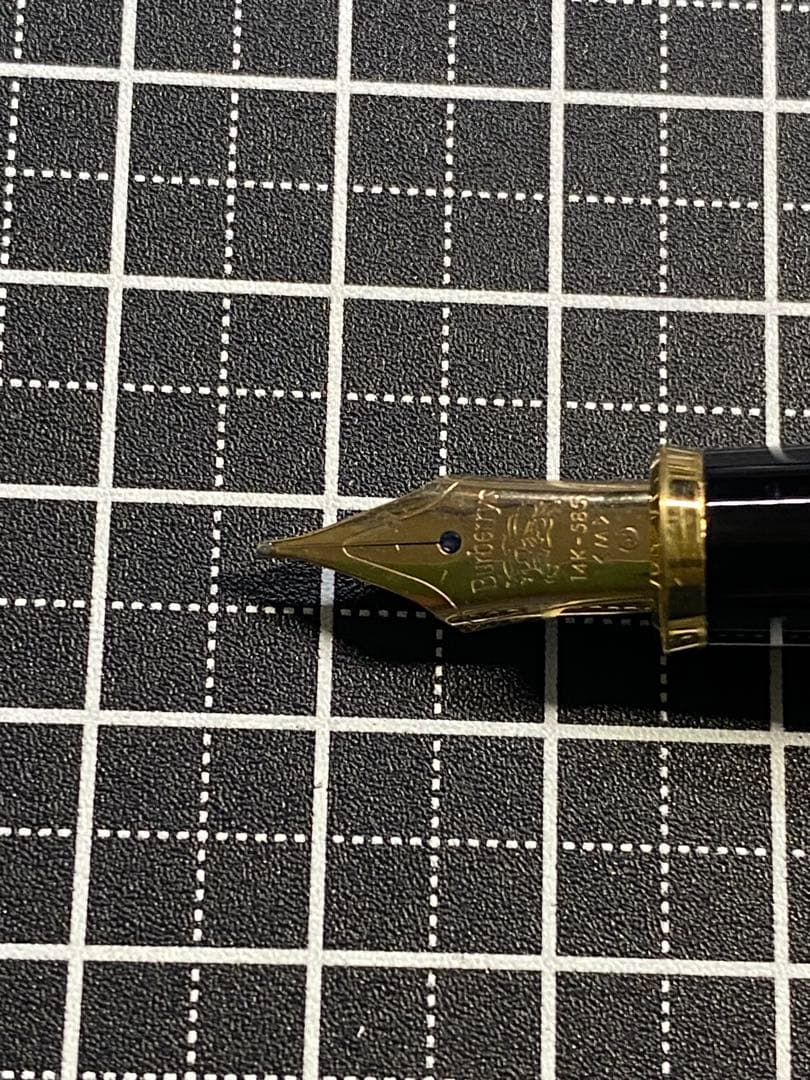 Burberry NOVA 布張り 万年筆 字幅M