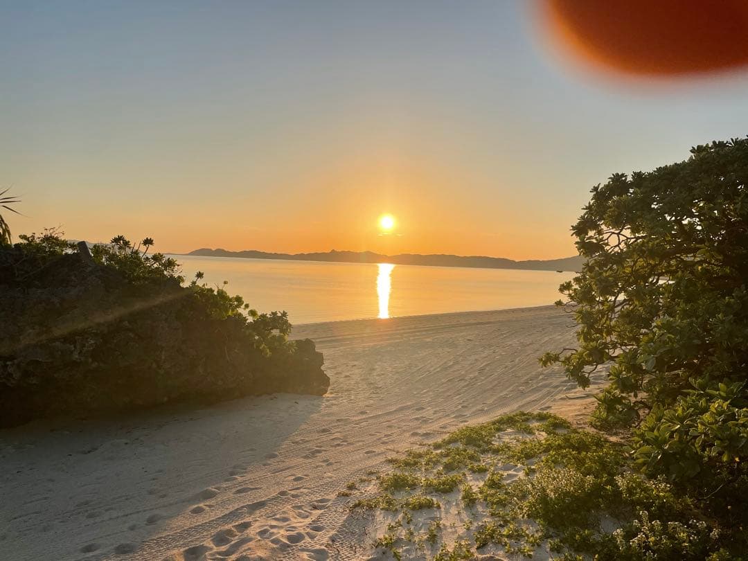 アカシア　Acacia ソウシジュ　相思樹　根皮100% 1000g