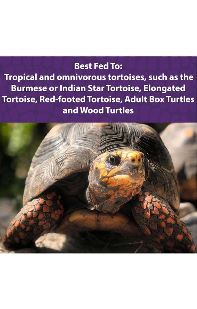 Mazuri トータスダイエット11.34Kg リクガメ、イグアナ｜