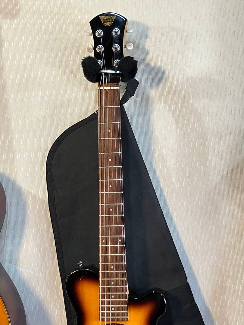 スピーカー音出し確認済み！初心者用ピグノーズ持ち運びに便利！ソフト