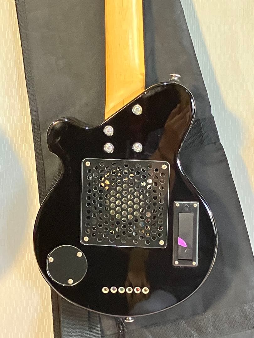 スピーカー音出し確認済み！初心者用ピグノーズ持ち運びに便利！ソフト