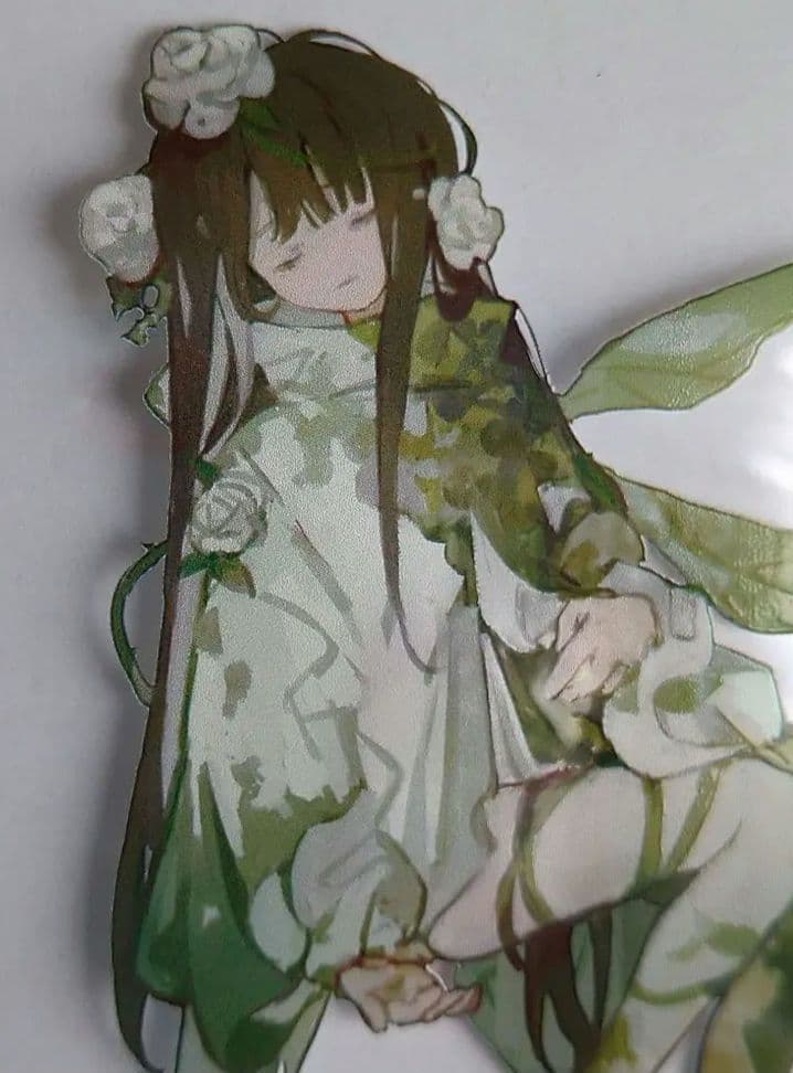 ✩再販✩J36＃绿野仙踪(PET)純情男友切り売り海外人物マステ女の子