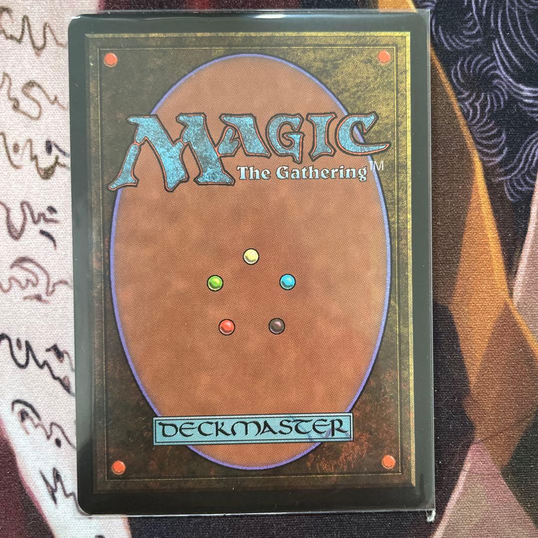 適者生存　日本語