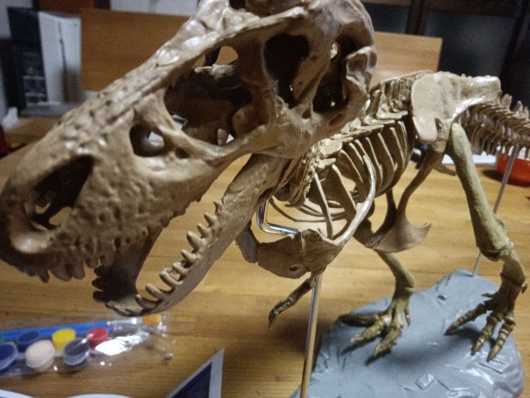 T-REX骨格フルスケルトン組み立てキット 恐竜 Amazon.co.jp: 大恐竜