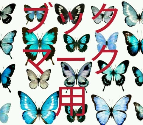 蝶の標本セット（多種類・多色） セット標本 , 蝶の標本 販売・通販の