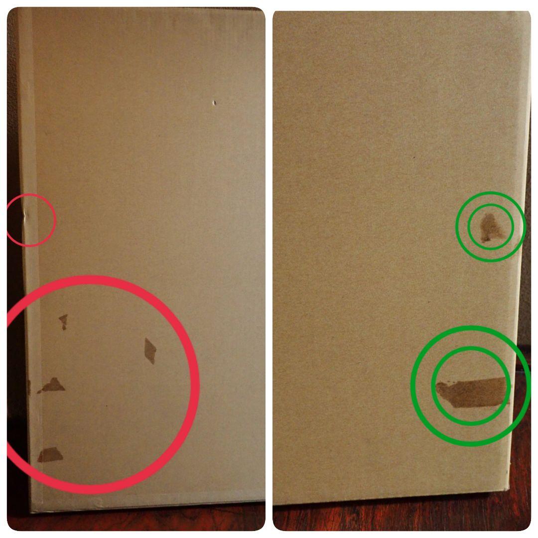 アンティークプリント○ランバート「蘭」1885年