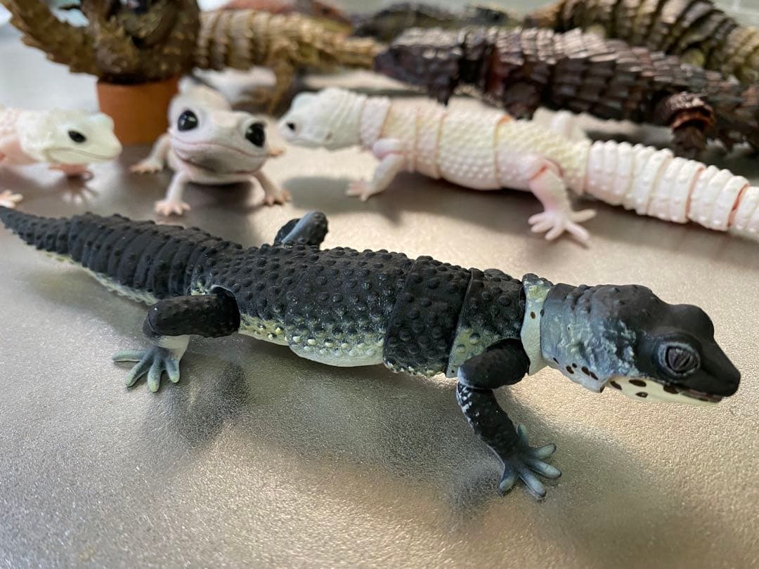 アルマジロトカゲ ほか 11体セット いきもの大図鑑 トカゲ