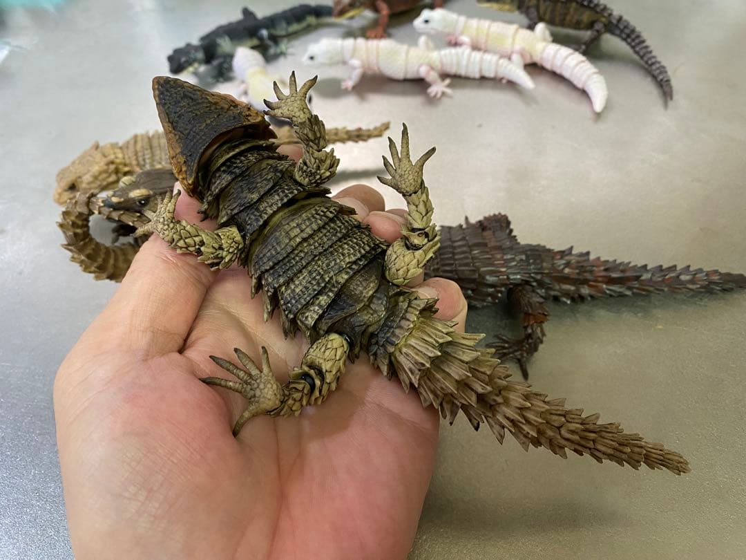 アルマジロトカゲ ほか 11体セット いきもの大図鑑 トカゲ