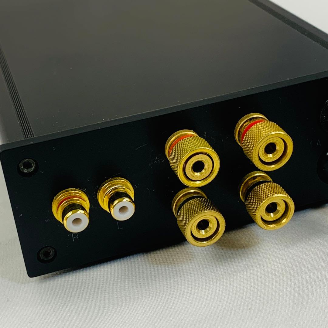 専用】エーワイ電子 エルサウンド EPWS-5V パワーアンプ