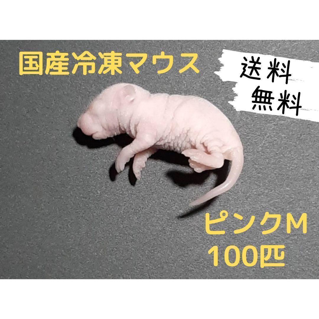 国産冷凍マウス ピンクM 100匹(送料無料一部地域発送不可) - メルカリ