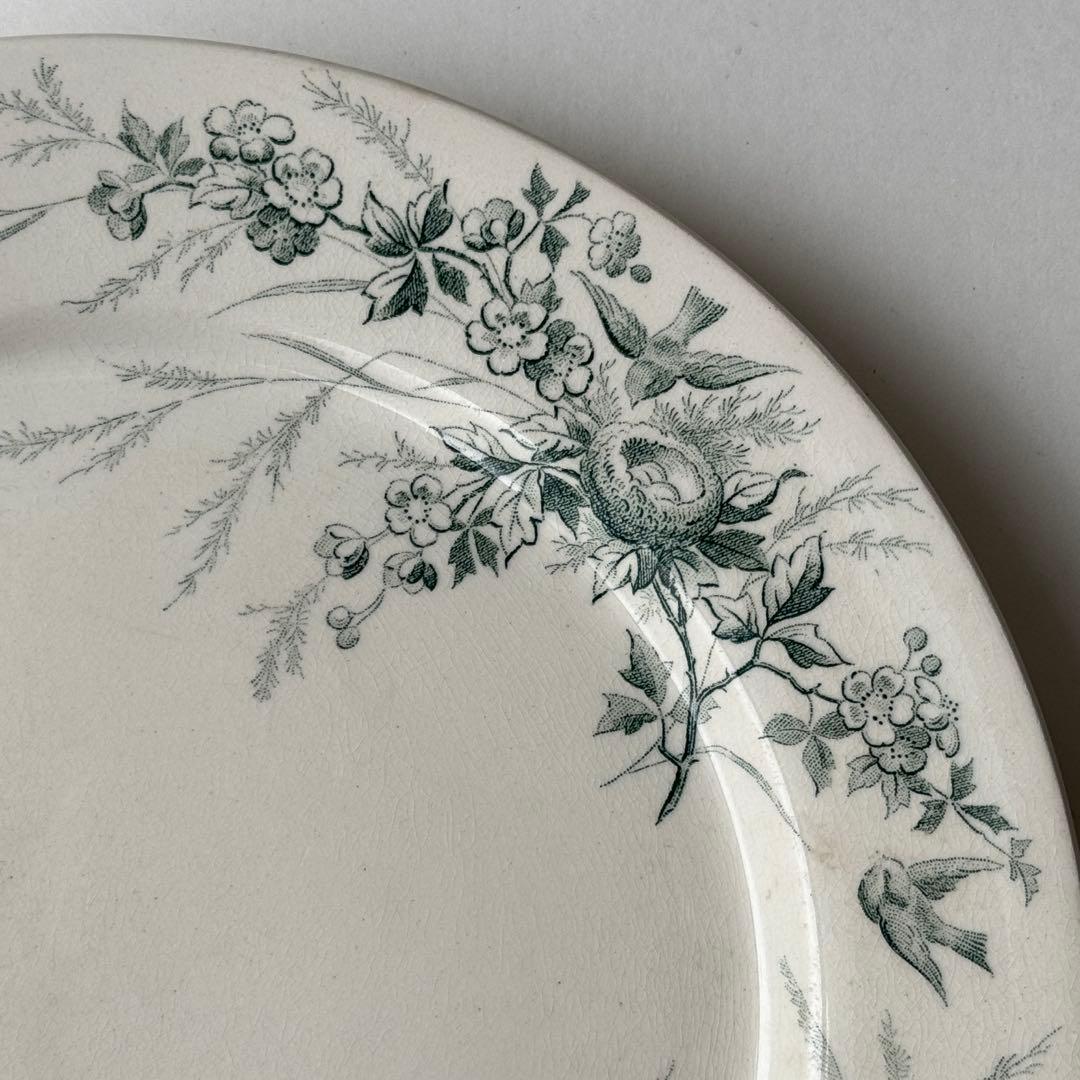 ① フランスアンティーク クレイユモントロー リノット Limotte グリーン