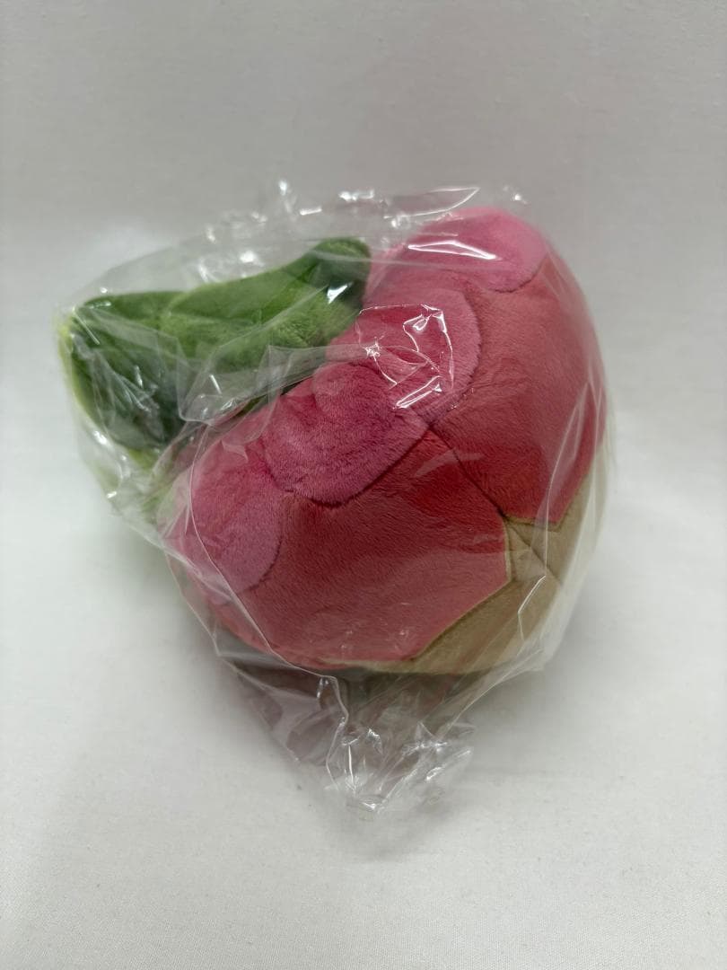 ポケモン 海外限定 カジッチュ ぬいぐるみ 果然一派