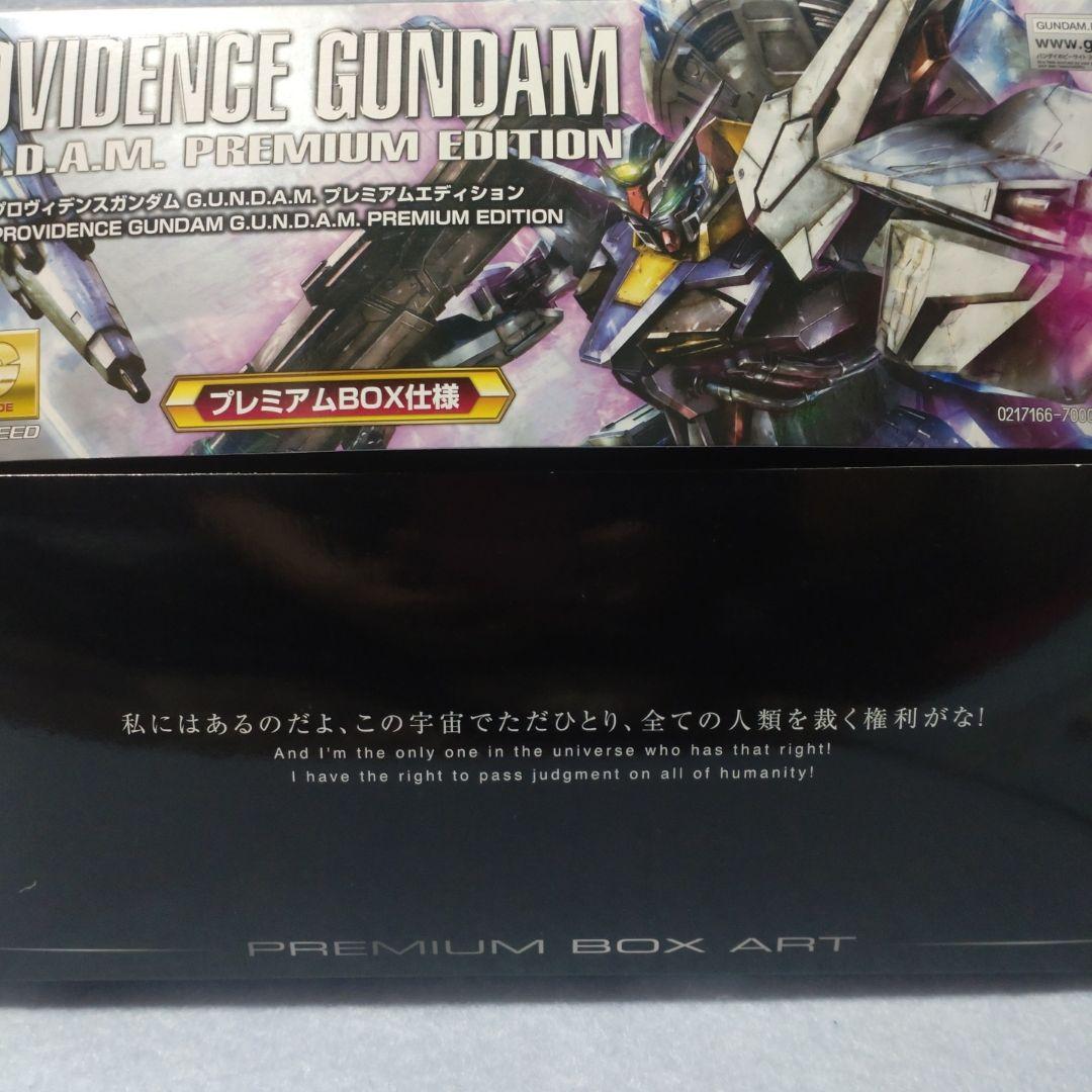 1/3まで値引き】MG 1/100 プロヴィデンスガンダム PE