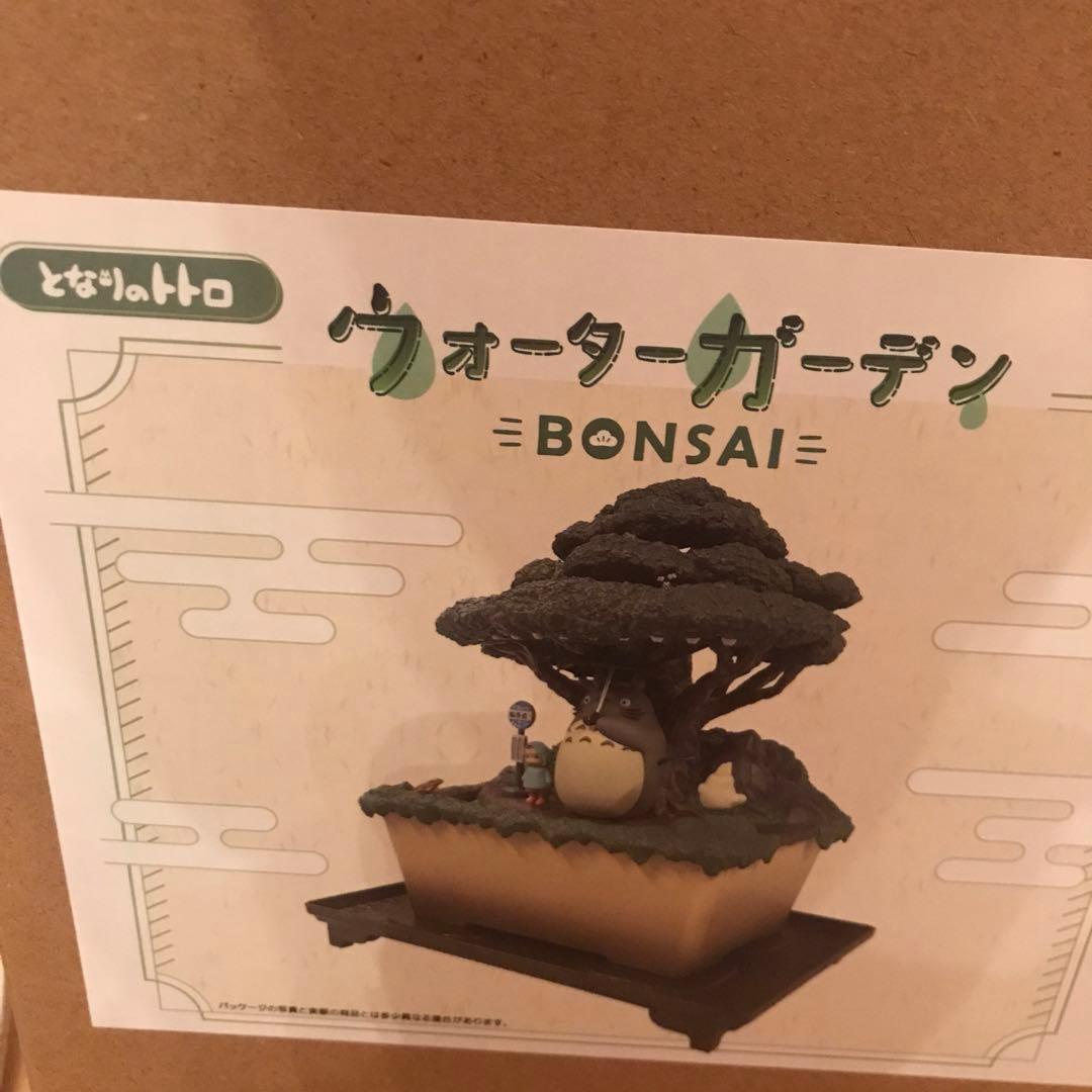 早い者勝ち‼️となりのトトロ　ウォーターガーデン　盆栽
