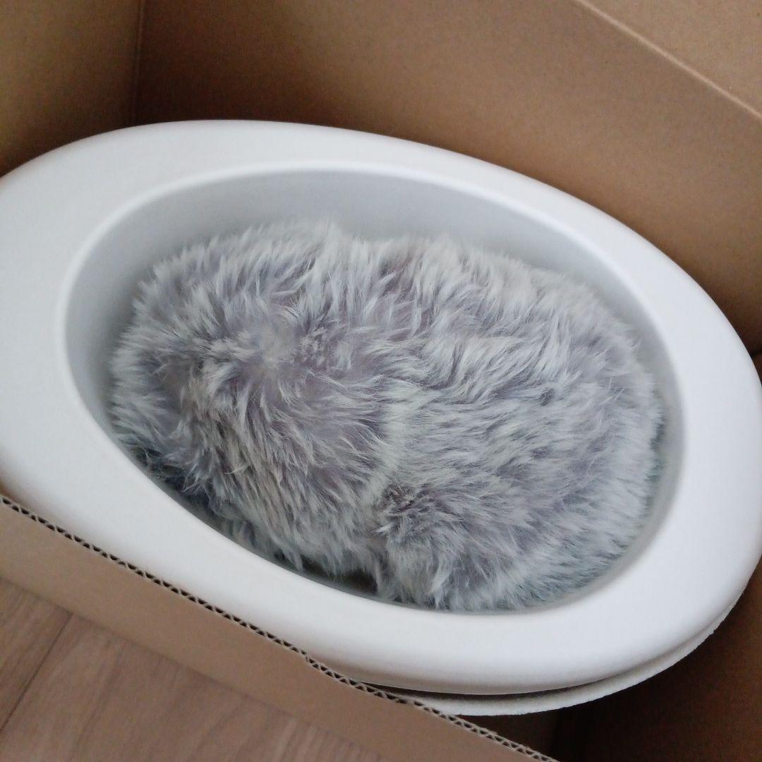 【本日限定】モフリン　AIペット　クラウドファンディング版