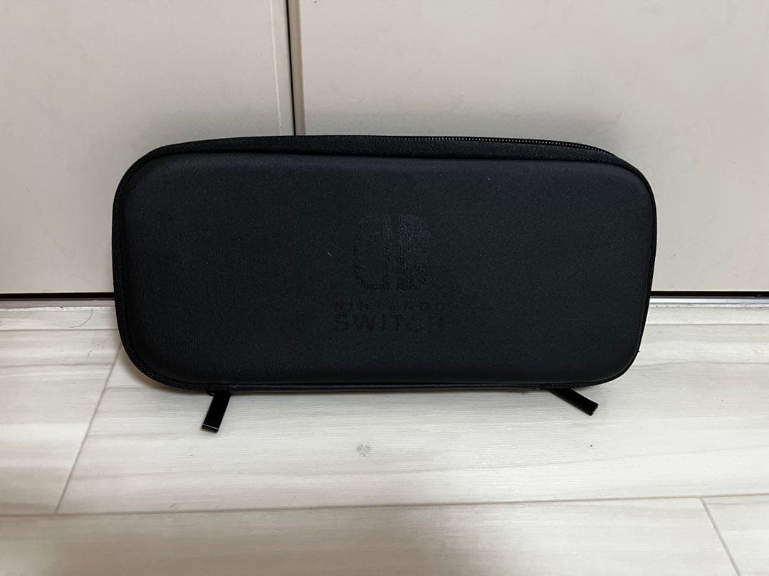 Nintendo Switch（通常使用は可、ケース付）