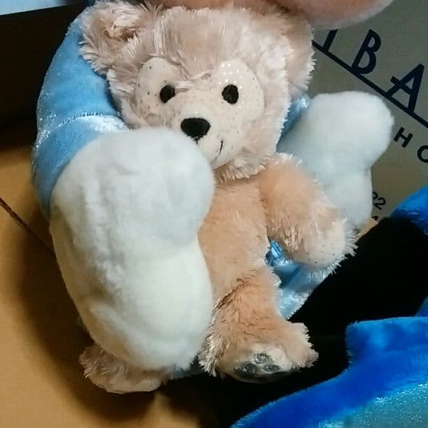 WDW1200体限定シリアルナンバー付きパジャマミッキーぬいぐるみ