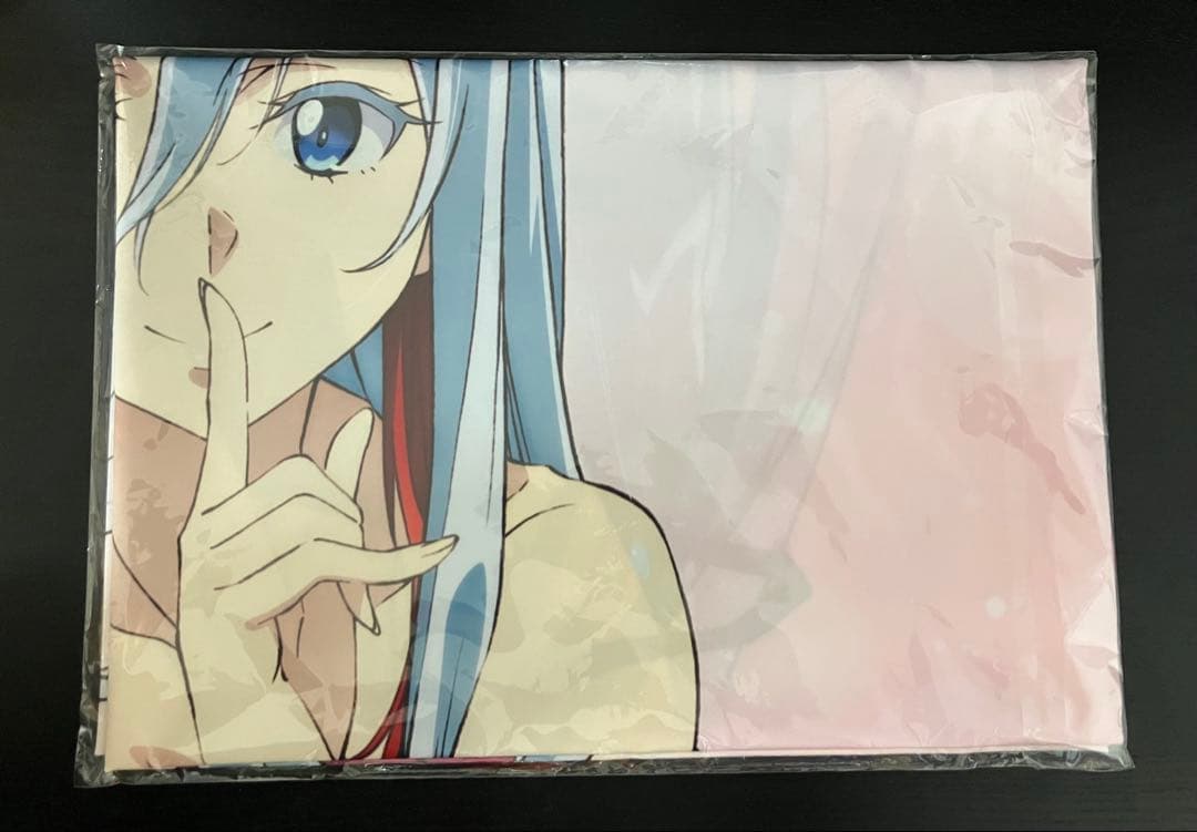 86 -エイティシックス- 全巻購入特典 レーナ B1布ポスター