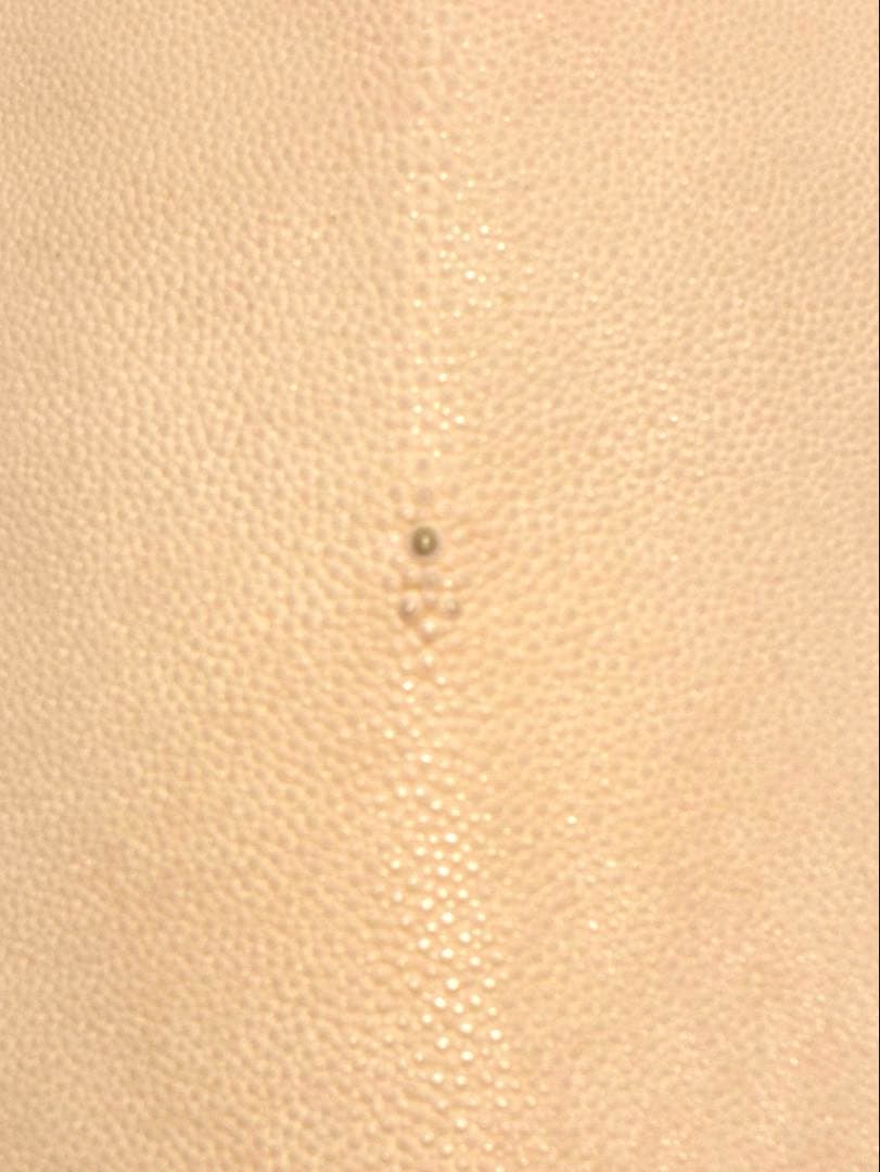 刀剣用　鮫皮　エイ革 10-3 11-6 2枚分user_46f847da