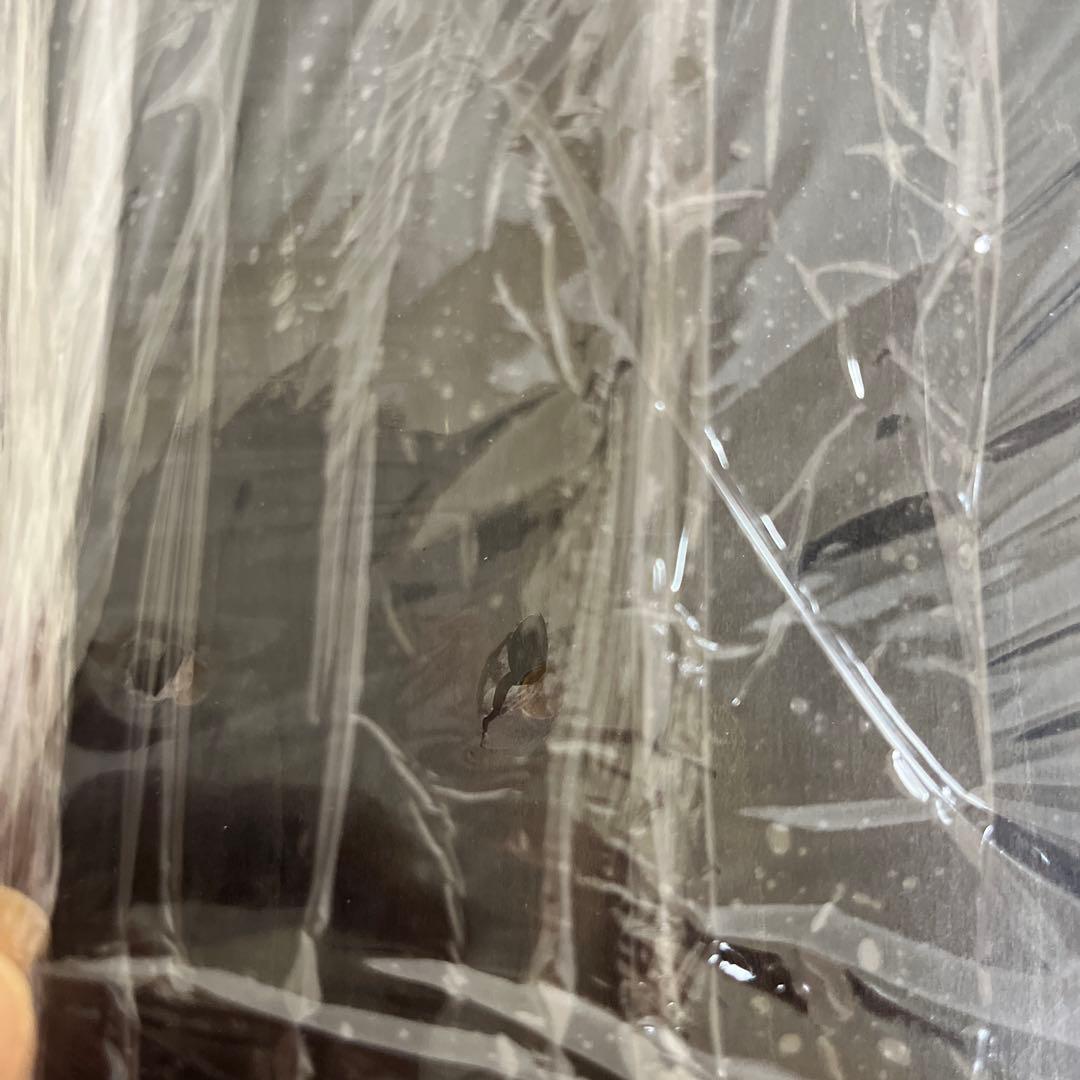 スケートボード Supreme Airbrushed Floral Skateboard