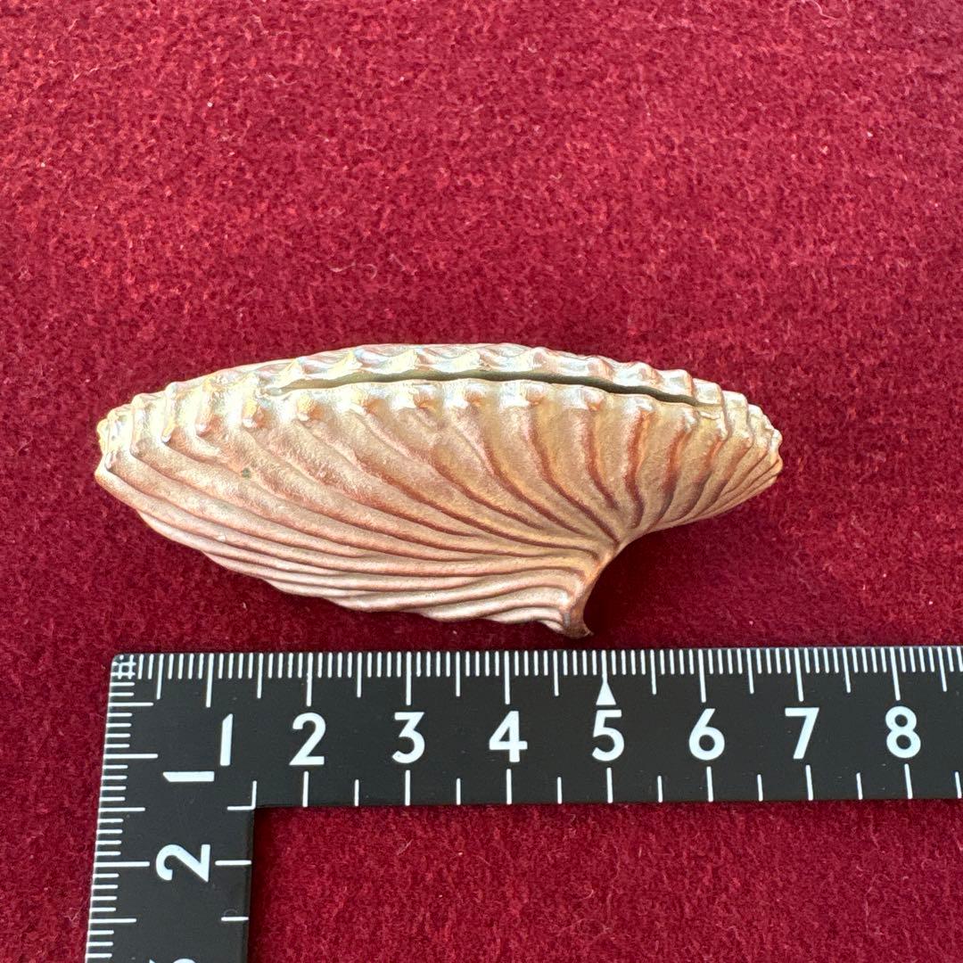 Atelier Junko シェル型カードスタンド 4個セット